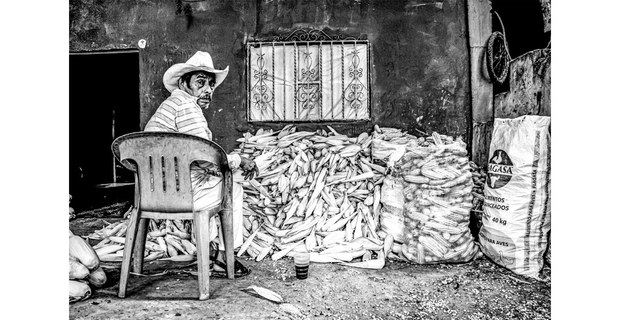 Lo cosechado en Entabladero, Veracruz, noviembre de 2021. Foto: Mario Olarte