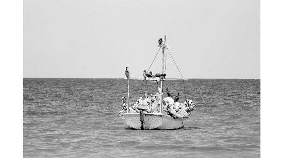 De la serie “Alas en el mar”, Dzilam de Bravo, Yucatán. Haizel de la Cruz