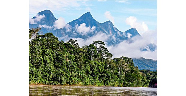 Selva amazónica, Perú. Foto: Álvaro del Campo