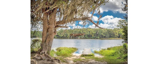 Laguna de Chakam Bakam, ejido Laguna Om, Quintana Roo, 2023. Foto: Elí García Padilla