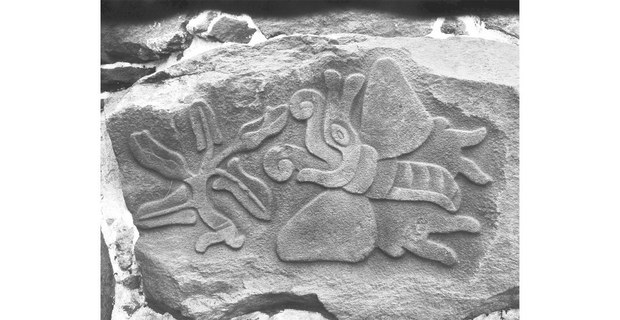 Mariposa. Roca labrada en Cuauhilama, Xochimilco. ca. 1520. Foto: Justine Monter-Cid