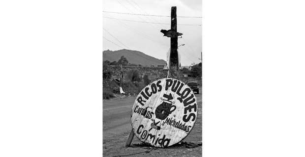 Pulques. Santiago Tepatlaco, Estado de México. Foto: Justine Monter-Cid