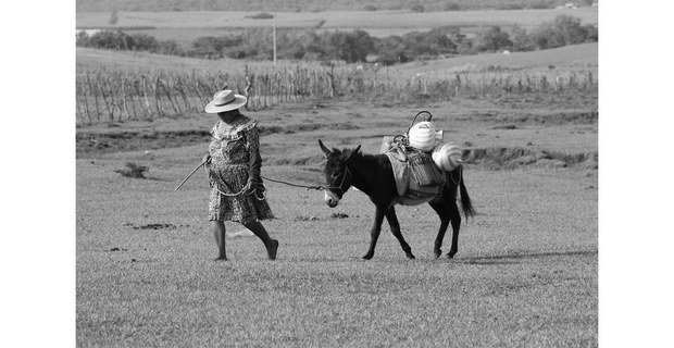 Mujer tojolabal en Las Margaritas, Chiapas. Foto: Fermín Ledesma Domínguez