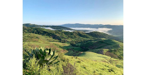 La verde primavera, Montaña de Guerrero, 2023. Foto: Martín Tonalmeyotl