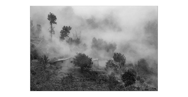 Niebla en Tlahuitoltepec, territorio ayuujk. Foto: Damián Dositelo