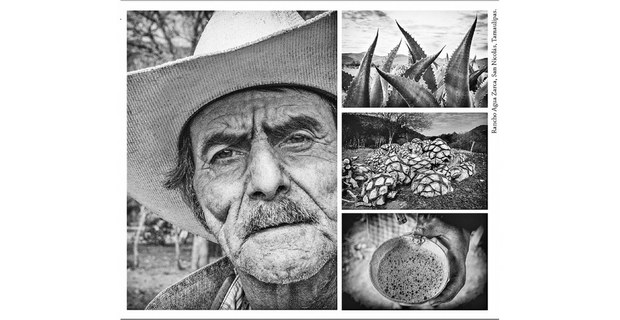 Don Emilio Lozoya Coronado y sus mezcales, Rancho Agua Zarca, San Nicolás, Tamaulipas. Fotos: Elí García-Padilla