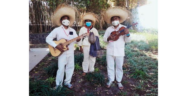 Los Tigrillos de Cochoapa el Grande, Guerrero. Foto: Cortesía del autor