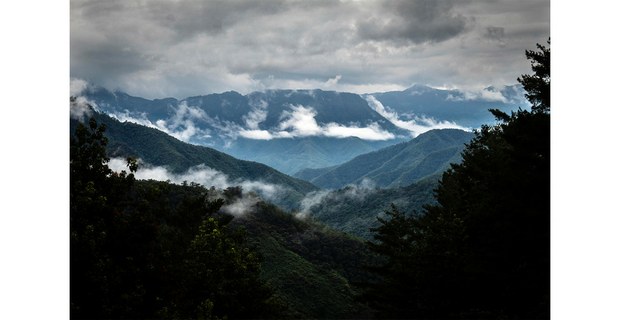 Bosques comunitarios en la región de La Chinantla. Foto: Elí García-Padilla