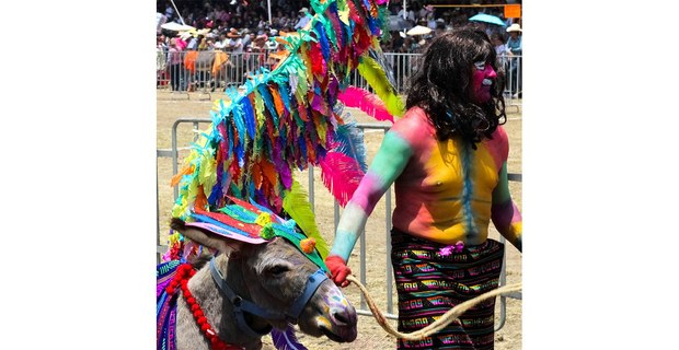 El “Burro Alebrije” obtuvo el segundo lugar en la 59a Feria Nacional del Burro. Otumba, Estado de México, 1 de mayo, 2024. Foto: Justine Monter Cid