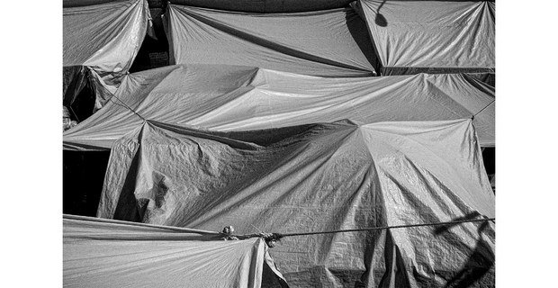 Mar de lonas, mercado de Sonora, Ciudad de México, junio de 2024. Foto: Mario Olarte