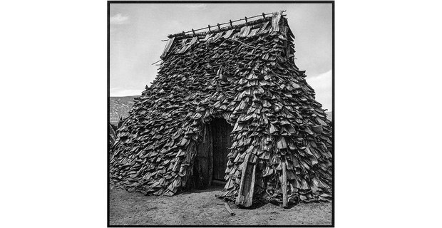 Vivienda tradicional hñähñu de pencas de maguey, Valle del Mezquital, Hidalgo, 1988. Foto: Agustín Estrada, Cuartoscuro 182