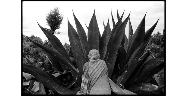 Mujer maguey, Buenavista, Estado de México. Foto: Angeles Torrejón