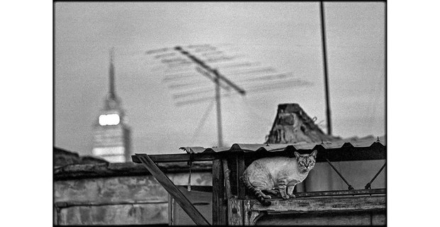 Ciudad de México. Foto: Marco Antonio Cruz