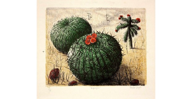 Biznagas, grabado de Amador Lugo Guadarrama (1921-2002)