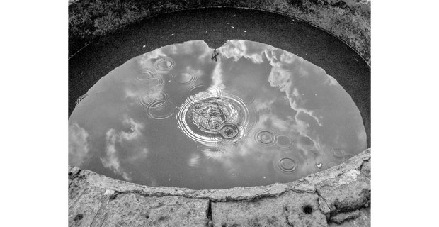 Ojo de agua. Foto: Guillermo Bellinghausen Zinser