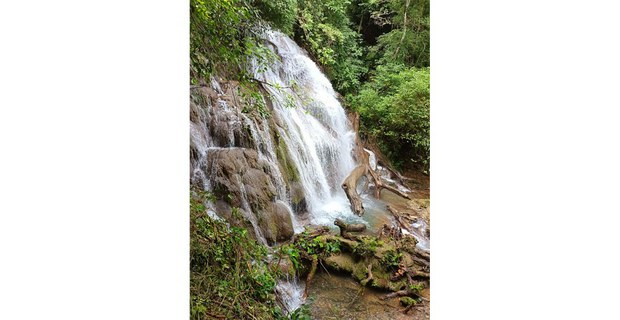 Palenque, Chiapas. Foto: Ojarasca
